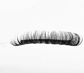showing the Boss Babe Lashes style in a white background